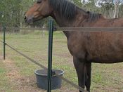 Cover those iron posts with high pressure polypipe, a great solution to provide a safer environment for your horses