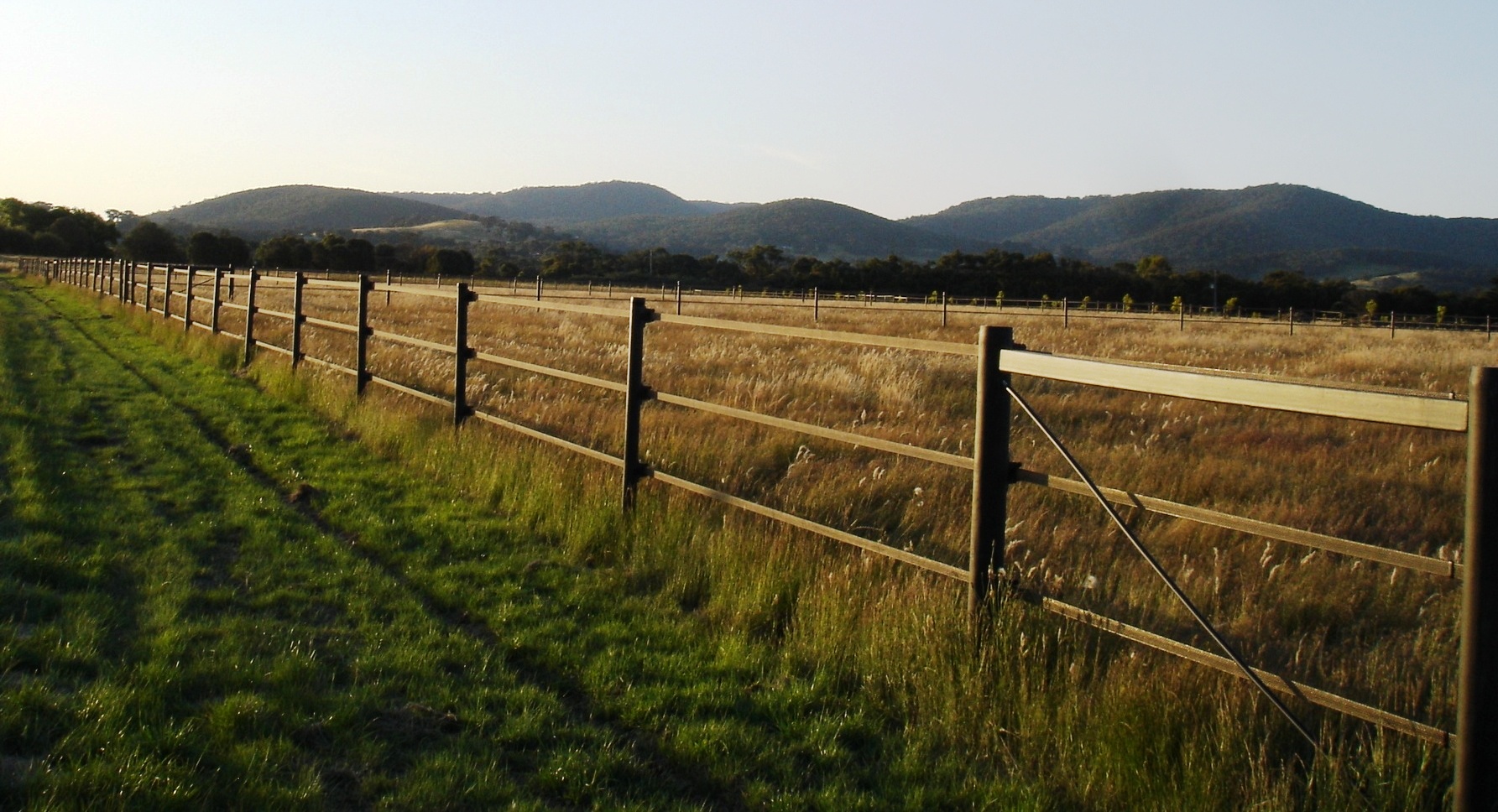 Horse fencing Central Coast