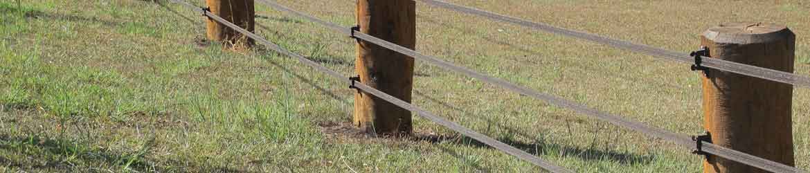 Visible electric fencing for horse arenas and training areas